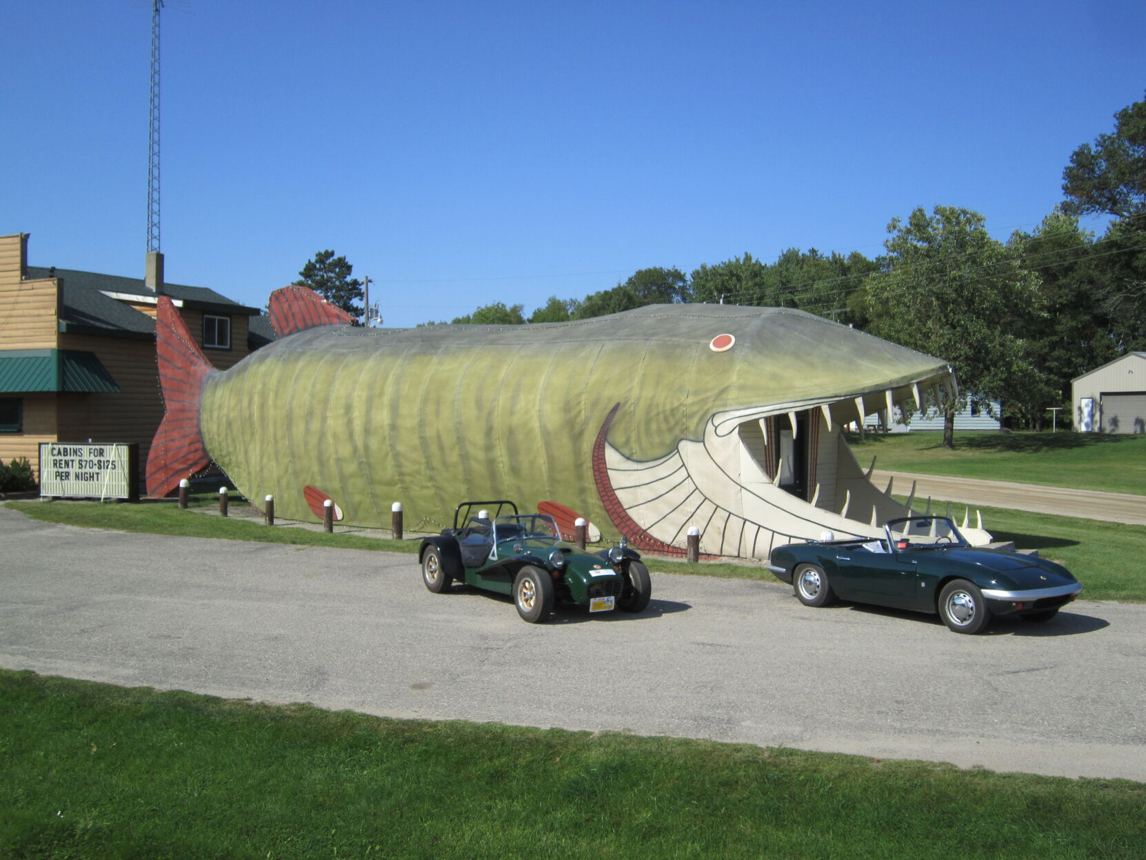 Robbins at fish club.JPG